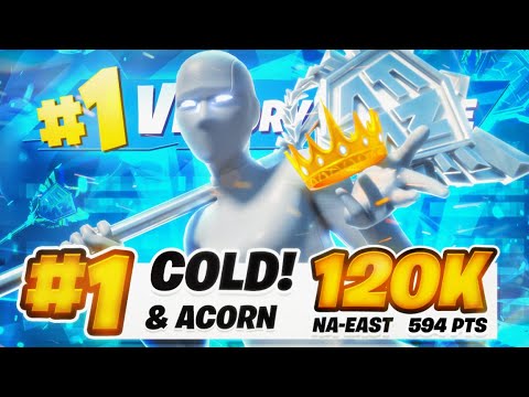 🏆1ST PLACE IN FNCS GRAND FINALS ($120,000) 🏆 | Cold