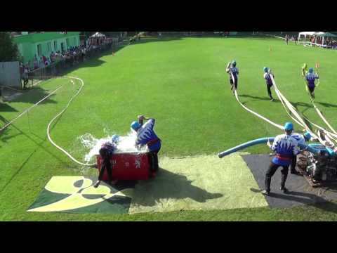 25.6.2016 DHZ Petrova Ves 2.pokus - Letničie