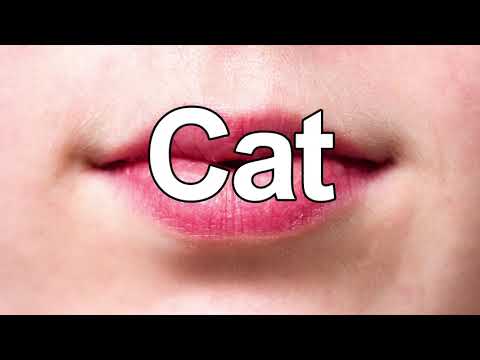 How to Pronounce Cat