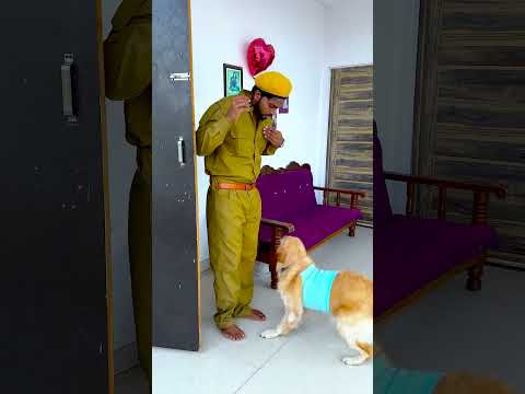 मेरे डॉगी को सपना कौन सा आया था😱 #funnydogs #shorts