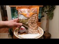 How to Make Chinese-Style Garlic-Flavored Peanuts