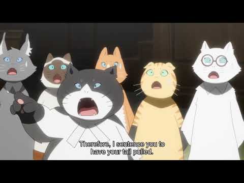Punishment for pulling cat's Tail | Birthday Wonderland | Animeclips