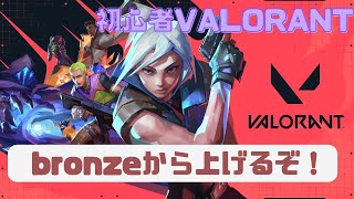 楽しんだもん勝ちヴァロ【PS版𝗩𝗔𝗟𝗢𝗥𝗔𝗡𝗧】