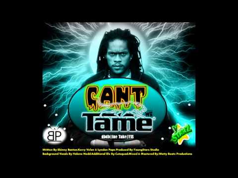 Skinny Banton - Can't Tame We {Carriacou Soca 2013} [Soca Monarch Song]