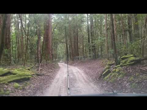 Central Station Camping Area Fraser Island | A Drive Through The Camping Grounds | All About Fraser