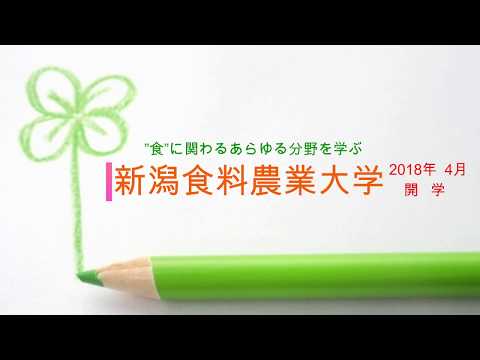 【オープンキャンパスダイジェスト】2018.01.20 大学説明会