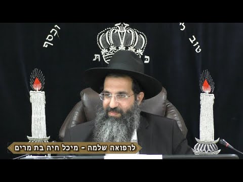 עץ חיים היא למחזיקים בה 🌴 הרב שי עובד | ראשון - פרשת שמיני - תשפד