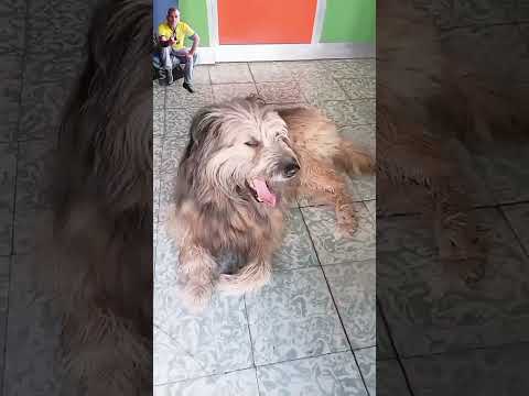 Peluche trabajas de seguridad, no hace nada y se queja 😂 Villaguay, Entre Rios