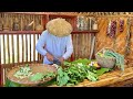 Harvesting Pechay from my backyard and cooking it into a healthy delicious meal IJoseph The Explorer