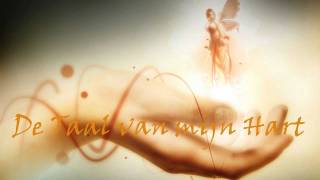 Stef Bos - De Taal van mijn Hart HD - Lyrics on screen
