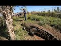 Crocodile Encounter, Darwin Part 2