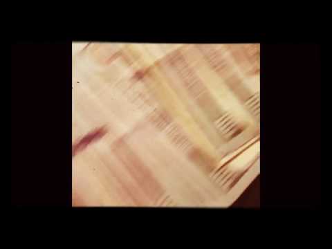 BLEEZ STACCWELL - HOW IM FEELIN