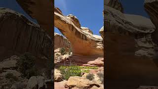 Capitol Reef: The National Park You’ve Been Sleeping On 🎬🌄 5 unforgettable things to experience.