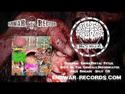 Cerebral Enema - Plötzlicher Kindstod