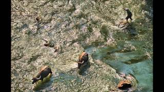 Relax - Blank & Jones