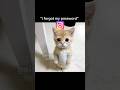 I Forgot My Password