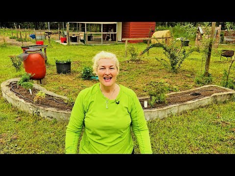 download lagu mp3 mp4 Best Flowers For Bees In Florida, download lagu Best Flowers For Bees In Florida gratis, unduh video klip Best Flowers For Bees In Florida