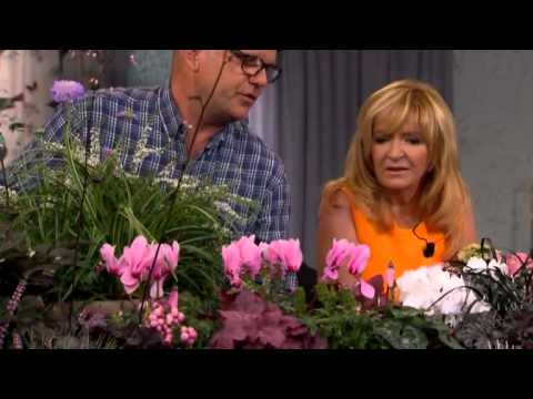 Bosse Rappne om hur du får till en vacker höstträdgård - Malou Efter tio (TV4)