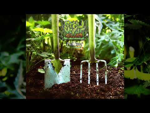 Weejoonz - Straight Outta Terra