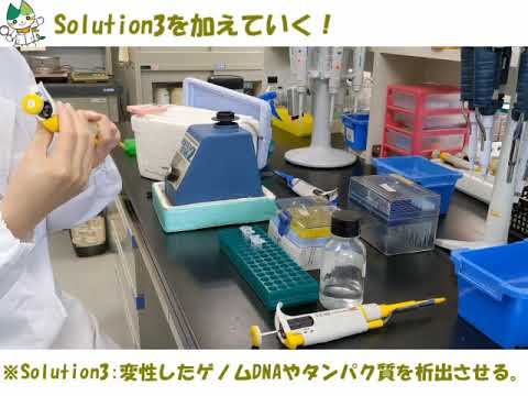 【山口大学OC2025／農学部／生物機能科学科】生物機能科学科の実験を覗いてみよう！
