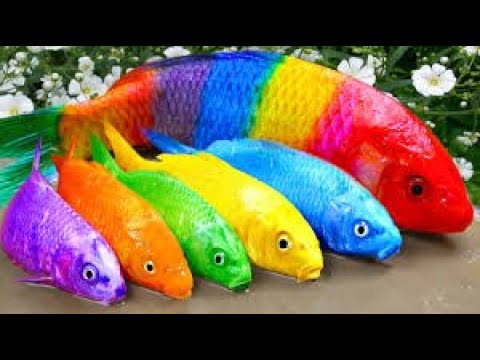 Stop motion Cooking ASMR Experiment Fishing - Rainbow Eel, Cute Duckling, funny fishing  Animation