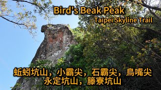 EXTREME Hiking Challenge in Taipei : 蚯蚓坑山 - 小霸尖-石霸尖 - 鳥嘴尖 - 永定坑山 - 籐寮坑山