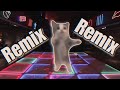 Happy Cat Remix!!!