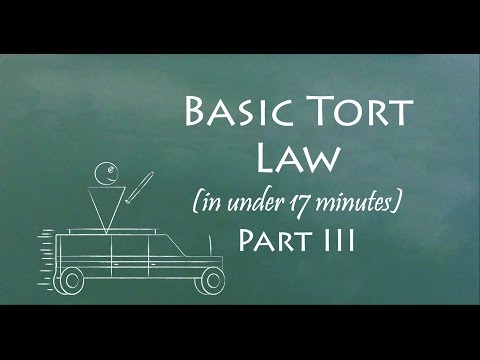 17分でわかる不法行為法（その3 (Understand Tort Law in 17 Minutes (Part III))