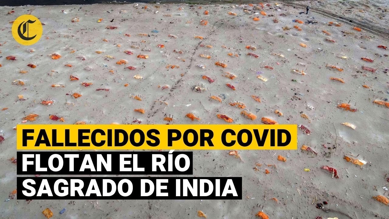CORONAVIRUS en INDIA: Víctimas flotan en las aguas del río Ganges