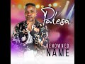 Palesa DReal Ravele Vhuhulu New Music 2020 Reowned Name Venda Music Venda Aritist