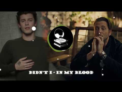 Shawn Mendes x One Republic: Didn't I - In my blood | Tyroxeen Mashup