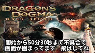 (8) DDDA ドラゴンズドグマダークアリズン
