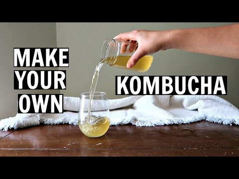 ✽ How to Make Your Own Kombucha At Home ✽ (Cheap, Easy, and Healthy!)