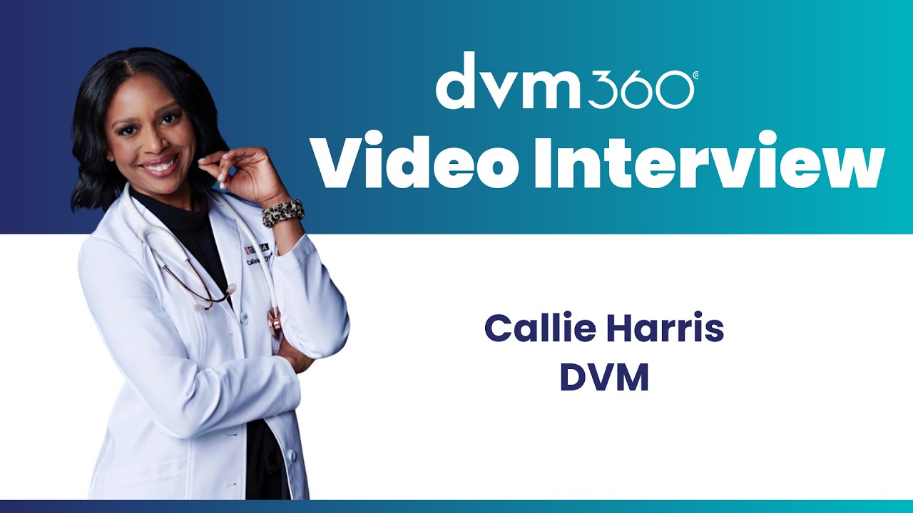 Navigating the microbiome in veterinary practice