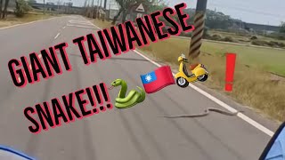 Re: [新聞] 欸蛇耶！猛威爾來台第2年考到機車駕照　