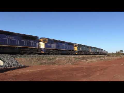 Five C class,  Condobolin to Guningbland NSW SSR interstate grain train. 22 June 2018