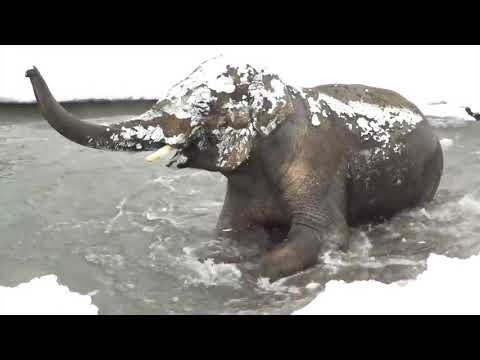 Robby Hecht- Best That I Do