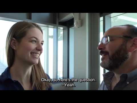 Talking TOMO (Total Motivation) with Lindsay McGregor