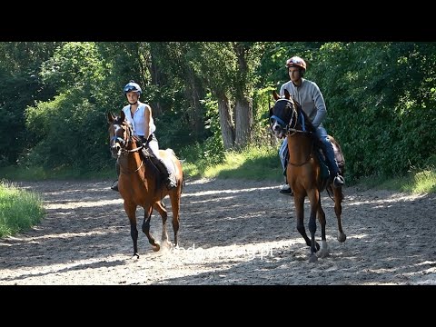 Trening - Tor Służewiec, Warszawa, 22.06.2021 - 3