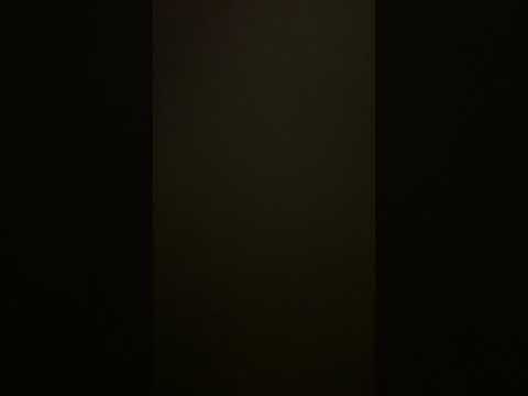 Thalamus   Kapitel 15