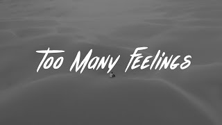 Download lagu Ruel - Too Many Feelings (Lyrics) mp3