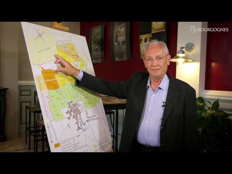 Côte de Beaune : les appellations décryptées par Jean-Pierre Renard