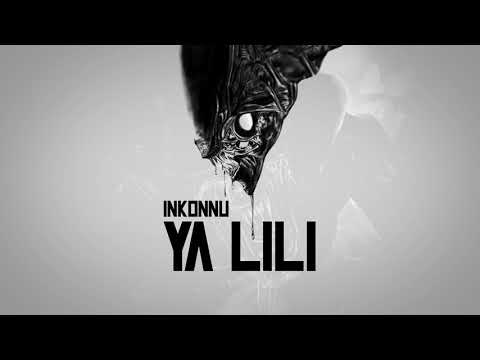 Inkonnu - YA Lili on Spotify Charts