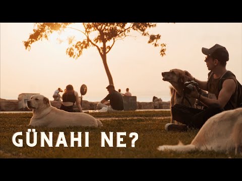 Emrah Demiralp - Günahı Ne? (Official Video)