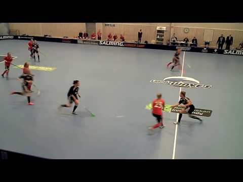 170122 Damer Div.1 Lindås IBK - Guldhedens IK (10-1) HD Per3