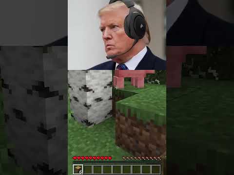 Joe Biden, Donald Trump and Obama play on a hardcore minecraft server...