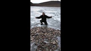 Удочки для зимней рыбалки в красноярске