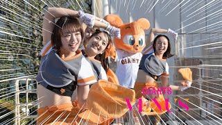 《プロ野球 チアリーダー》読売巨人軍 ジャイアンツ　VENUS ヴィーナス 2024　開幕戦  GIANTS cheerleader  ⑦ 《BraveTV》