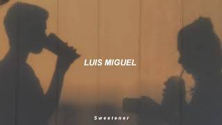 Luis Miguel - No Me Puedes Dejar Asi (Letra)