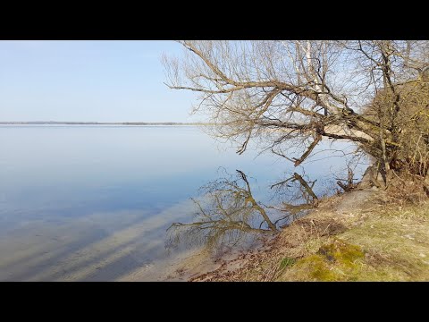 Jezioro Niegocin, leśna plaża i pole namiotowe (53°58'27.3"N 21°47'40.3"E)